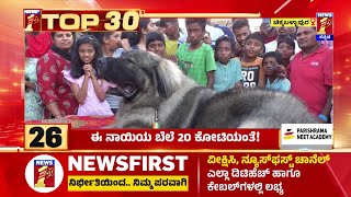 TOP 30 : ಈ ನಾಯಿಯ ಬೆಲೆ 20 ಕೋಟಿಯಂತೆ! | Chikkaballapur | @newsfirstkannada