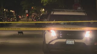 Person shot by Chicago police in custody after altercation in Back of the Yards