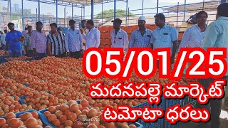 05-01-25 Madanapalle Tomato Market price Today || Today Tomato Market Rate in Madanapalle #today