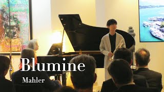 花の章/マーラー/Mahler/Blumine/