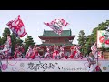 4k 松山よさこい風舞人　京都さくらよさこい 2023 さくよさ 1日目 神宮道スペシャルステージ