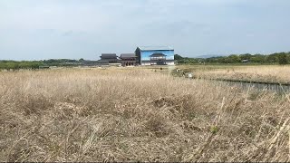 世界遺産の平城宮跡を貫く近鉄奈良線