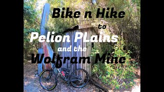 Pelion Plains and the Wolfram Mine