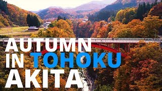 Autumn in Tohoku: Akita