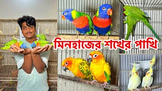 মিনহাজের শখের পাখির সংগ্রহশালা | টেম টিয়া, রিংনেক টিয়া, রেইনবো / রেড কলার লরিকেট ও কনুর পাখি কিনুন