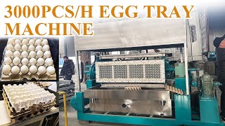 3000 Pcs/hour Egg Tray Machine | High Output Pulp Molding Production Line#eggtraymachine