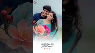 ମୋର ଜୀବନ ସିଏ ତମର ସପନ !! New Odia romantic love song status video !! Odia whatsapp status video