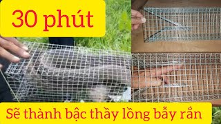 Cách làm bẫy rắn mới nhất chi tiết A-Z 2024 || Tây Nguyên Hoang Dã