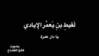 لقيط بن يعمر  الإيادي -  يادار عمرة  - بصوت فالح القضاع