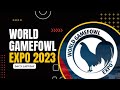 Vlog 42: World Gamefowl Expo 2023 Day 3 | #rexjocsing #rexjocsing