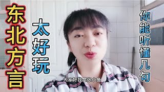 东北方言太搞笑，好多南方人表示听不懂，今天给大家整一段