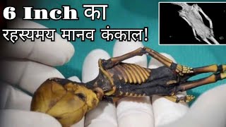 6 इंच का मानव कंकाल | Mystery Of 6 Inch Skeleton