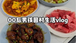 vlog | 19岁男孩回村生活日常 又是美好的一天过去啦