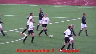 Studentspretten - Sogndal 2. Mai 2019 (Måla)