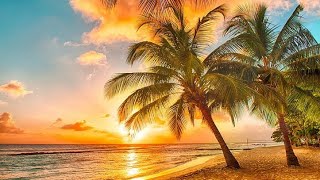 Wonderful Palm Beach Chillout • Ocean Scene with Beautiful Relaxing Music