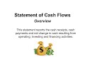 Statement of Cash Flows Overview