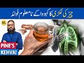 Chir Ki Lakri Ka Kehva Ke Fayde/Istemal | Pinewood Tea for Lungs & Joints | Dr. Ibrahim