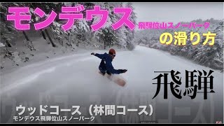 【モンデウス飛騨位山スノーパーク】の滑り方｜GENTEMSTICK STINGRAY 飛騨高山