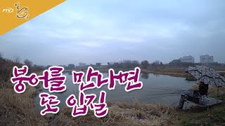 [다시 보기] FTV 일격 - 붕어를 만나면 또 입질