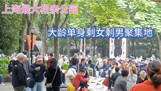 上海最大的相亲公园，每周两天，大龄单身剩女剩男的聚集地~街拍/街景