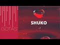 shuko nothing s gonna change ft. lee fields nia wyn