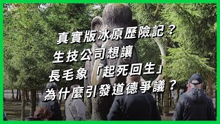 真實版冰原歷險記？生技公司想讓長毛象「起死回生」為什麼引發道德爭議？【TODAY 看世界】