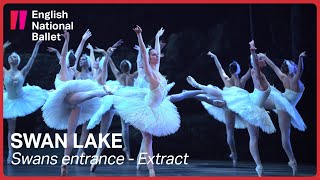 Swan Lake: Swans entrance (extract) | English National Ballet