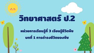 วิทยาศาสตร์ ป.2 (หน่วยการเรียนรู้ที่ 3 เรียนรู้ชีวิตพืช)/กิจกรรมที่ 2