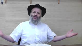 Rabbi Naftali Perlstein - Torah Reading: Vayeshev