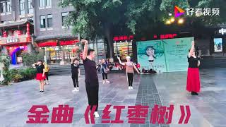 梦之舞阿平老师与队员们共舞金曲《红枣树》