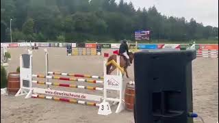 8 yo mare Quasimodo x Carrick - show video