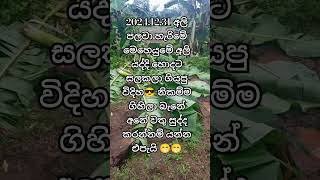 අපි එහෙම යන්නැ හරිය 😁😁