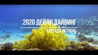 2020 Дейли-дайвинг Хургада Октябрь