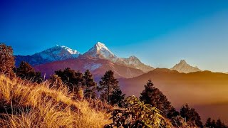 POONHILL TREK WITH FAMILY 🇳🇵🥾 || Part-1 || Ulleri to Ghorepani  || Ghorepani Poon Hill Trek 2024