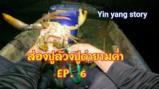 ส่องปูล้วงปูดำยามค่ำEP.6🚣🦀#จับปู#ธรรมชาติ #crab #จันทบุรี #yinyangstory #bigcrab #อาหารทะเล #ชาวเล