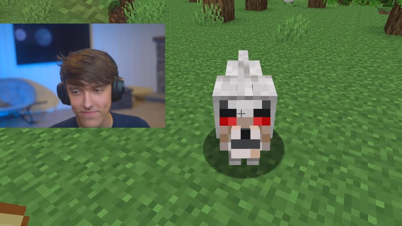 Donut Smp Rating Bases Youtube