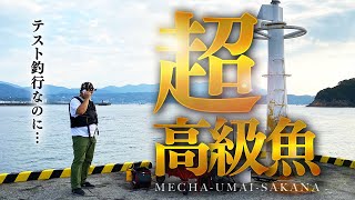 島根でテストのはずが、まさかの超高級魚が釣れて焦る！大物狙いに行ったが釣れるとは思ってもいなかった編