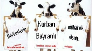 Kumas Boyama Kumas Boyasi Ile Evde Tencerede Kumas Nasil Boyanir Youtube