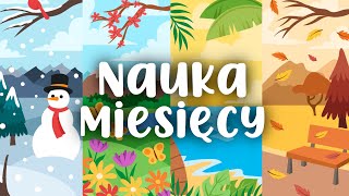 NAUKA MIESIĘCY I PÓR ROKU 🌸☀️🍂❄️|PIOSENKA DLA DZIECI| 🎶TUKANEK - MIESIĄCE | LEARN POLISH LANGUAGE 🇵🇱