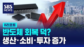 반도체 회복 덕? 생산·소비·투자 증가…삼성전자 3분기 실적은? / SBS / #D리포트