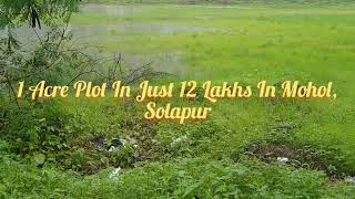 5000 sqft, 4000 sqft and 1 Acre plots in Sangli and Solapur with installment options..Grab the deal