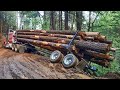 Dangerous Idiots Extreme Truck Fails Driving, Heavy Equipment Logging Wood Truck Fail Idiots at Work