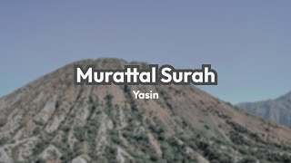 Surah YASIN Merdu dan Menyentuh Hati