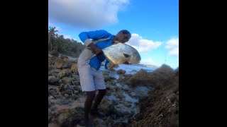 Holiday Permit Fishing