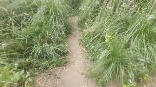 uppukunnu view point kulamavu idukki