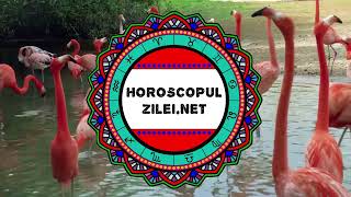Horoscopul Zilei - 9 februarie 2022 / Horoscopul de Miercuri