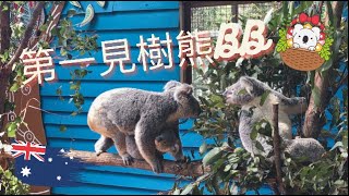 【澳洲🇦🇺生活】｜黃金海岸hea vlog｜第一次見到樹熊BB超可愛! #無尾熊 #Koala #コアラ #Dreamworld #Woodlands #Coomera  #GoldCoast