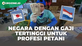 Gaji Petani di Indonesia VS Petani di Negara Lain. Pemetik Buah Digaji Puluhan Juta di Luar Negeri