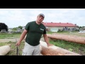 how to build a log home log peeling with a drawknife