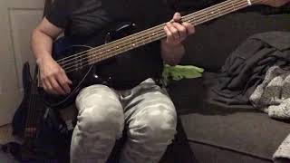 38 Special - Hold On Loosely Bass Cover